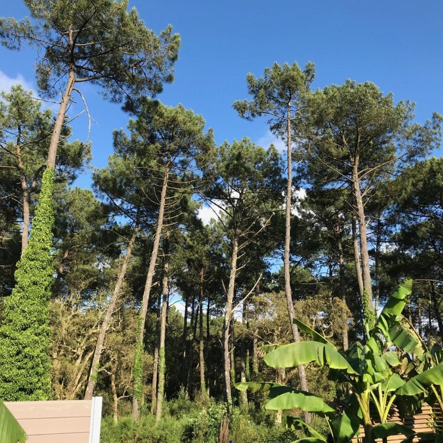 Villa Patio Terrasse Privative Ocean 10 Min A Pied Seignosse Bagian luar foto